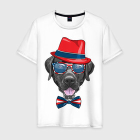 Мужская футболка хлопок с принтом Мажор  в Белгороде, 100% хлопок | прямой крой, круглый вырез горловины, длина до линии бедер, слегка спущенное плечо. | арт | графика | животные | лабрадор | собаки