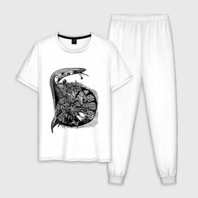 Мужская пижама хлопок с принтом Улитка в Белгороде, 100% хлопок | брюки и футболка прямого кроя, без карманов, на брюках мягкая резинка на поясе и по низу штанин
 | snail | буква 
