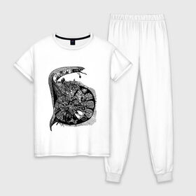 Женская пижама хлопок с принтом Улитка в Белгороде, 100% хлопок | брюки и футболка прямого кроя, без карманов, на брюках мягкая резинка на поясе и по низу штанин | snail | буква 