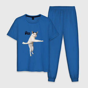 Мужская пижама хлопок с принтом Крутой кот в Белгороде, 100% хлопок | брюки и футболка прямого кроя, без карманов, на брюках мягкая резинка на поясе и по низу штанин
 | 