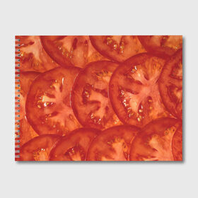 Альбом для рисования с принтом Помидорки в Белгороде, 100% бумага
 | матовая бумага, плотность 200 мг. | арт | еда | лето | овощ | овощи | помидор | помидорки | помидоры | рисунок | томат | томаты