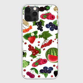 Чехол для iPhone 12 Pro Max с принтом Ягоды в Белгороде, Силикон |  | Тематика изображения на принте: арбуз | белый фон | вишня | вкуснятина | калина | клубника | коллекция ягод | крыжовник | лето | малина | огород | рябина | сладкие | смородина | спелые | черника | ягодный фон | ягоды