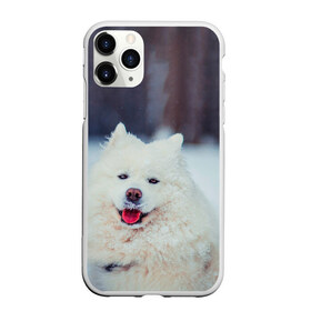 Чехол для iPhone 11 Pro матовый с принтом САМОЕД в Белгороде, Силикон |  | animals | dog | winter | домашние | друг | животные | звери | зима | лайка | пес | песель | природа | пушистый | самоед | собаки | собачка | хаски