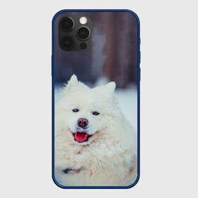 Чехол для iPhone 12 Pro Max с принтом САМОЕД в Белгороде, Силикон |  | animals | dog | winter | домашние | друг | животные | звери | зима | лайка | пес | песель | природа | пушистый | самоед | собаки | собачка | хаски