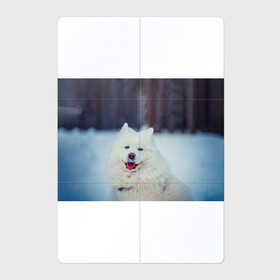 Магнитный плакат 2Х3 с принтом САМОЕД в Белгороде, Полимерный материал с магнитным слоем | 6 деталей размером 9*9 см | animals | dog | winter | домашние | друг | животные | звери | зима | лайка | пес | песель | природа | пушистый | самоед | собаки | собачка | хаски