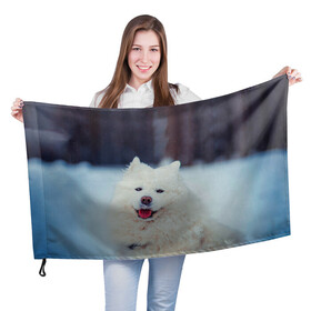Флаг 3D с принтом САМОЕД в Белгороде, 100% полиэстер | плотность ткани — 95 г/м2, размер — 67 х 109 см. Принт наносится с одной стороны | animals | dog | winter | домашние | друг | животные | звери | зима | лайка | пес | песель | природа | пушистый | самоед | собаки | собачка | хаски