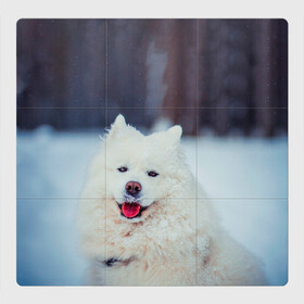 Магнитный плакат 3Х3 с принтом САМОЕД в Белгороде, Полимерный материал с магнитным слоем | 9 деталей размером 9*9 см | animals | dog | winter | домашние | друг | животные | звери | зима | лайка | пес | песель | природа | пушистый | самоед | собаки | собачка | хаски
