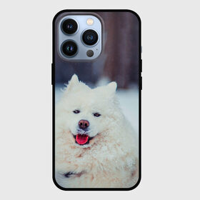 Чехол для iPhone 13 Pro с принтом САМОЕД в Белгороде,  |  | animals | dog | winter | домашние | друг | животные | звери | зима | лайка | пес | песель | природа | пушистый | самоед | собаки | собачка | хаски