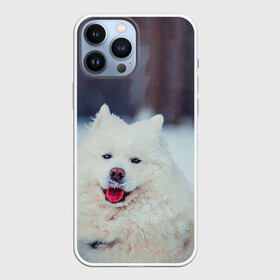 Чехол для iPhone 13 Pro Max с принтом САМОЕД в Белгороде,  |  | Тематика изображения на принте: animals | dog | winter | домашние | друг | животные | звери | зима | лайка | пес | песель | природа | пушистый | самоед | собаки | собачка | хаски