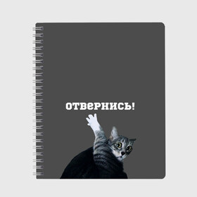 Тетрадь с принтом Отвернись! в Белгороде, 100% бумага | 48 листов, плотность листов — 60 г/м2, плотность картонной обложки — 250 г/м2. Листы скреплены сбоку удобной пружинной спиралью. Уголки страниц и обложки скругленные. Цвет линий — светло-серый
 | cat | кот | смущение