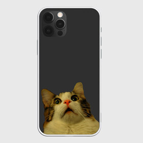 Чехол для iPhone 12 Pro Max с принтом Коте смотрит вверх в Белгороде, Силикон |  | cat | up | вверх | кот | подглядывание | удивление