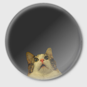 Значок с принтом Котэ смотрит вверх в Белгороде,  металл | круглая форма, металлическая застежка в виде булавки | cat | up | вверх | кот | подглядывание | удивление