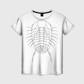 Женская футболка 3D с принтом трилобит агрессивный в Белгороде, 100% полиэфир ( синтетическое хлопкоподобное полотно) | прямой крой, круглый вырез горловины, длина до линии бедер | агрессия | доисторические животные | жуткие животные | насекомые | палеонтология | трилобиты