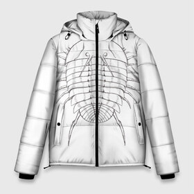 Мужская зимняя куртка 3D с принтом трилобит агрессивный в Белгороде, верх — 100% полиэстер; подкладка — 100% полиэстер; утеплитель — 100% полиэстер | длина ниже бедра, свободный силуэт Оверсайз. Есть воротник-стойка, отстегивающийся капюшон и ветрозащитная планка. 

Боковые карманы с листочкой на кнопках и внутренний карман на молнии. | агрессия | доисторические животные | жуткие животные | насекомые | палеонтология | трилобиты