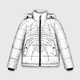 Зимняя куртка для мальчиков 3D с принтом трилобит агрессивный в Белгороде, ткань верха — 100% полиэстер; подклад — 100% полиэстер, утеплитель — 100% полиэстер | длина ниже бедра, удлиненная спинка, воротник стойка и отстегивающийся капюшон. Есть боковые карманы с листочкой на кнопках, утяжки по низу изделия и внутренний карман на молнии. 

Предусмотрены светоотражающий принт на спинке, радужный светоотражающий элемент на пуллере молнии и на резинке для утяжки | Тематика изображения на принте: агрессия | доисторические животные | жуткие животные | насекомые | палеонтология | трилобиты
