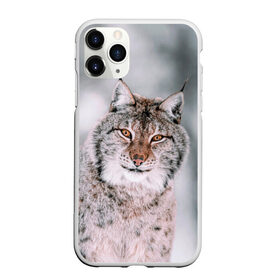 Чехол для iPhone 11 Pro Max матовый с принтом Рысь в Белгороде, Силикон |  | cat | животные | звири | кис | киска | кот | котейка | котик | коты | котяра | кошка | кошки | природа | рысь