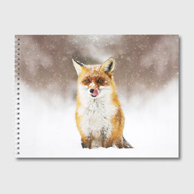 Альбом для рисования с принтом Лиса в Белгороде, 100% бумага
 | матовая бумага, плотность 200 мг. | Тематика изображения на принте: animal | fox | foxy | snow | winter | животное | животные | звери | зверь | зима | лиса | лисица | мороз | рыжая | снег | снежинка