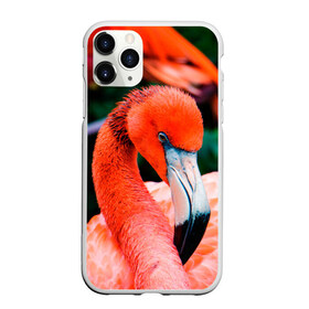 Чехол для iPhone 11 Pro Max матовый с принтом Фламинго в Белгороде, Силикон |  | животные | звири | природа | птица | розовый | фламинго