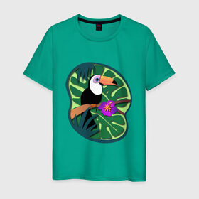 Мужская футболка хлопок с принтом Тукан в Белгороде, 100% хлопок | прямой крой, круглый вырез горловины, длина до линии бедер, слегка спущенное плечо. | лето | пальмы | природа | птицы | растения | тропики | тукан | цветы