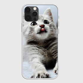 Чехол для iPhone 12 Pro Max с принтом серый котенок в Белгороде, Силикон |  | Тематика изображения на принте: grey kitten | kitten | котенок | милый котенок | серый котенок