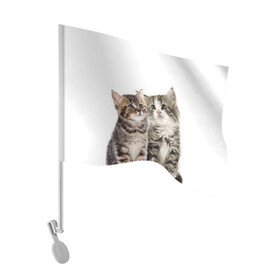Флаг для автомобиля с принтом котята в Белгороде, 100% полиэстер | Размер: 30*21 см | cute kittens | kittens | котята | красивые котята | милые котята