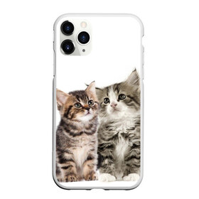 Чехол для iPhone 11 Pro матовый с принтом котята в Белгороде, Силикон |  | cute kittens | kittens | котята | красивые котята | милые котята