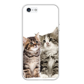 Чехол для iPhone 5/5S матовый с принтом котята в Белгороде, Силикон | Область печати: задняя сторона чехла, без боковых панелей | cute kittens | kittens | котята | красивые котята | милые котята