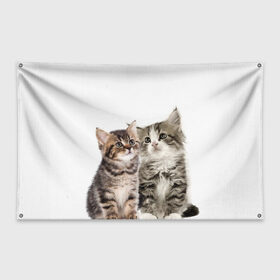 Флаг-баннер с принтом котята в Белгороде, 100% полиэстер | размер 67 х 109 см, плотность ткани — 95 г/м2; по краям флага есть четыре люверса для крепления | cute kittens | kittens | котята | красивые котята | милые котята