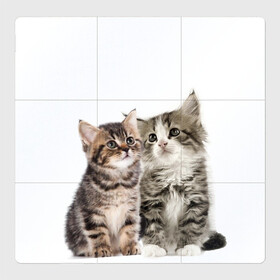 Магнитный плакат 3Х3 с принтом котята в Белгороде, Полимерный материал с магнитным слоем | 9 деталей размером 9*9 см | cute kittens | kittens | котята | красивые котята | милые котята