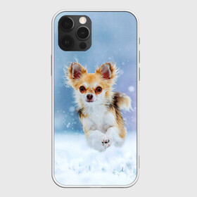 Чехол для iPhone 12 Pro Max с принтом Чихуахуа в снегу в Белгороде, Силикон |  | dog | животные | зима | пес | природа | снег | собака | собаки | собакчка | собачки | чихуа хуа | чихуахуа