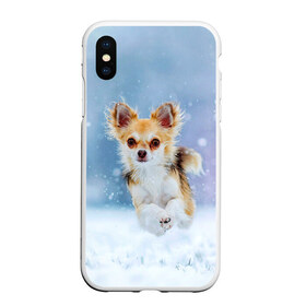 Чехол для iPhone XS Max матовый с принтом Чихуахуа в снегу в Белгороде, Силикон | Область печати: задняя сторона чехла, без боковых панелей | dog | животные | зима | пес | природа | снег | собака | собаки | собакчка | собачки | чихуа хуа | чихуахуа
