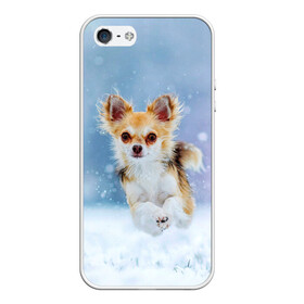 Чехол для iPhone 5/5S матовый с принтом Чихуахуа в снегу в Белгороде, Силикон | Область печати: задняя сторона чехла, без боковых панелей | dog | животные | зима | пес | природа | снег | собака | собаки | собакчка | собачки | чихуа хуа | чихуахуа