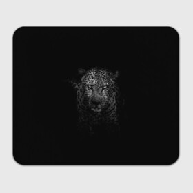 Прямоугольный коврик для мышки с принтом Ягуар выходит из тени в Белгороде, натуральный каучук | размер 230 х 185 мм; запечатка лицевой стороны | Тематика изображения на принте: jaguar | барс | животное | зверь | кошка | черный | ягуар