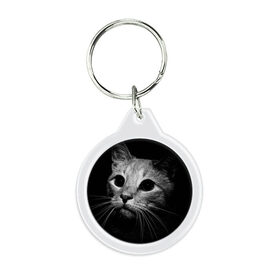 Брелок круглый с принтом Чёрный кот в Белгороде, пластик и полированная сталь | круглая форма, металлическое крепление в виде кольца | Тематика изображения на принте: животное | кот | кошка | тёмный рисунок | чёрный фон