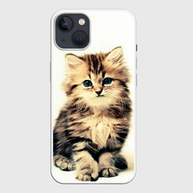 Чехол для iPhone 13 с принтом котёнок в Белгороде,  |  | cute kitten | kitten | котёнок | красивый котёнок | милый котёнок