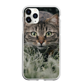 Чехол для iPhone 11 Pro Max матовый с принтом Кошка в Белгороде, Силикон |  | Тематика изображения на принте: животное | животные | звери | зверь | киса | киска | киски | кот | котики | коты | кошка | питомец | питомцы | природа | хищник | хищники