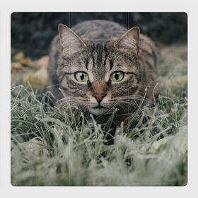 Магнитный плакат 3Х3 с принтом Кошка в Белгороде, Полимерный материал с магнитным слоем | 9 деталей размером 9*9 см | животное | животные | звери | зверь | киса | киска | киски | кот | котики | коты | кошка | питомец | питомцы | природа | хищник | хищники