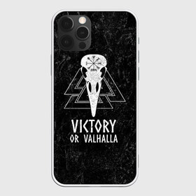 Чехол для iPhone 12 Pro Max с принтом Victory or Valhalla в Белгороде, Силикон |  | Тематика изображения на принте: вальхалла | викинг | ворон | символ | скандинавия | череп | язычество