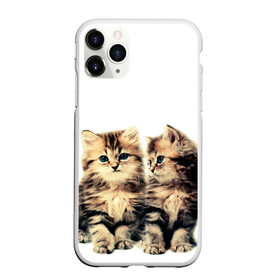 Чехол для iPhone 11 Pro Max матовый с принтом котята в Белгороде, Силикон |  | cute kittens | kittens | котята | красивые котята | милые котята
