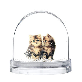Снежный шар с принтом котята в Белгороде, Пластик | Изображение внутри шара печатается на глянцевой фотобумаге с двух сторон | cute kittens | kittens | котята | красивые котята | милые котята