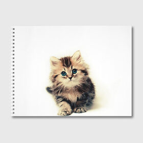 Альбом для рисования с принтом катёнок в Белгороде, 100% бумага
 | матовая бумага, плотность 200 мг. | Тематика изображения на принте: cute kitten | kitten | котёнок | красивый котёнок | милый котёнок