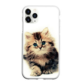 Чехол для iPhone 11 Pro Max матовый с принтом катёнок в Белгороде, Силикон |  | Тематика изображения на принте: cute kitten | kitten | котёнок | красивый котёнок | милый котёнок