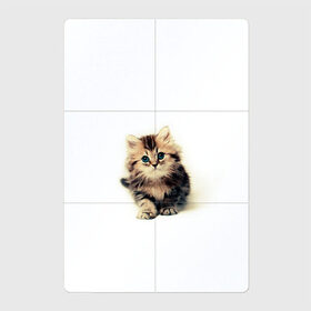 Магнитный плакат 2Х3 с принтом катёнок в Белгороде, Полимерный материал с магнитным слоем | 6 деталей размером 9*9 см | cute kitten | kitten | котёнок | красивый котёнок | милый котёнок