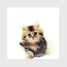 Магнит виниловый Квадрат с принтом катёнок в Белгороде, полимерный материал с магнитным слоем | размер 9*9 см, закругленные углы | cute kitten | kitten | котёнок | красивый котёнок | милый котёнок