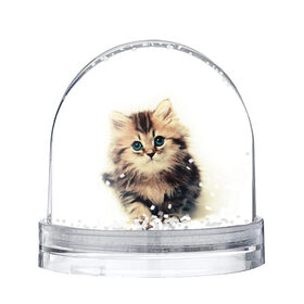 Снежный шар с принтом катёнок в Белгороде, Пластик | Изображение внутри шара печатается на глянцевой фотобумаге с двух сторон | cute kitten | kitten | котёнок | красивый котёнок | милый котёнок