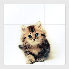 Магнитный плакат 3Х3 с принтом катёнок в Белгороде, Полимерный материал с магнитным слоем | 9 деталей размером 9*9 см | cute kitten | kitten | котёнок | красивый котёнок | милый котёнок