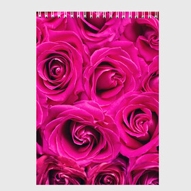 Скетчбук с принтом Розы в Белгороде, 100% бумага
 | 48 листов, плотность листов — 100 г/м2, плотность картонной обложки — 250 г/м2. Листы скреплены сверху удобной пружинной спиралью | абстрактно | абстрактные | абстрактный | абстракция | красные | роза | розовые | розы | цветок | цветочек | цветочки | цветочный | цветы