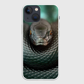 Чехол для iPhone 13 mini с принтом Чёрная мамба в Белгороде,  |  | блеск | гад | змея | мамба | хладнокровный | чёрная | чешуя