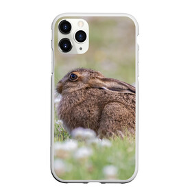 Чехол для iPhone 11 Pro Max матовый с принтом Зайчонок в Белгороде, Силикон |  | Тематика изображения на принте: животное | животные | зайцы | зайчик | зайчики | зайчонок | заяц | звери | зверь | природа | природный