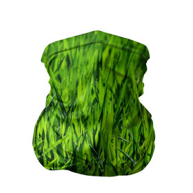 Бандана-труба 3D с принтом Трава в Белгороде, 100% полиэстер, ткань с особыми свойствами — Activecool | плотность 150‒180 г/м2; хорошо тянется, но сохраняет форму | газон | зелень | луг | луга | поле | природа | природный | растение | растения